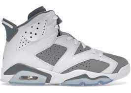 Jordan 6 Retro Cool Grey - Used