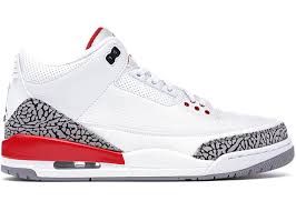 Jordan 3 Retro Hall of Fame - Used