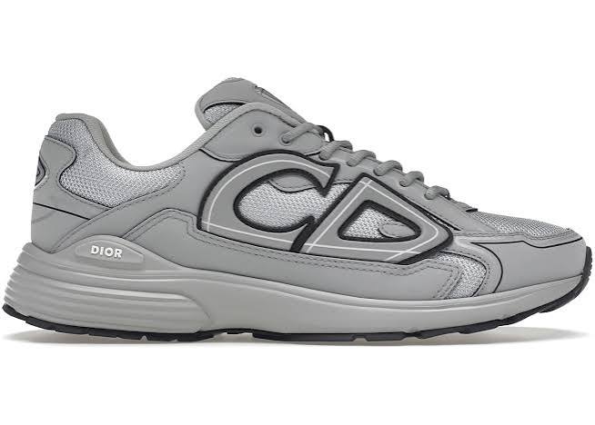 Dior B30 Gray - Used